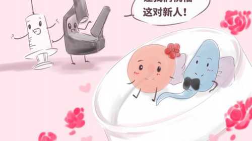 南京大学生供卵试管生子信息 原南京军区第105医院试管婴儿流程是什么？怎样