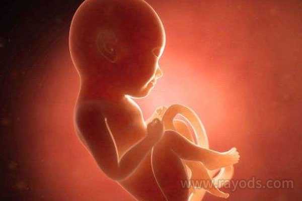 提高南宁三代试管婴儿胚胎成功率该怎么做？