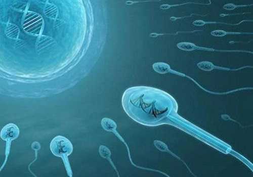 女性得了多囊卵巢能排卵吗